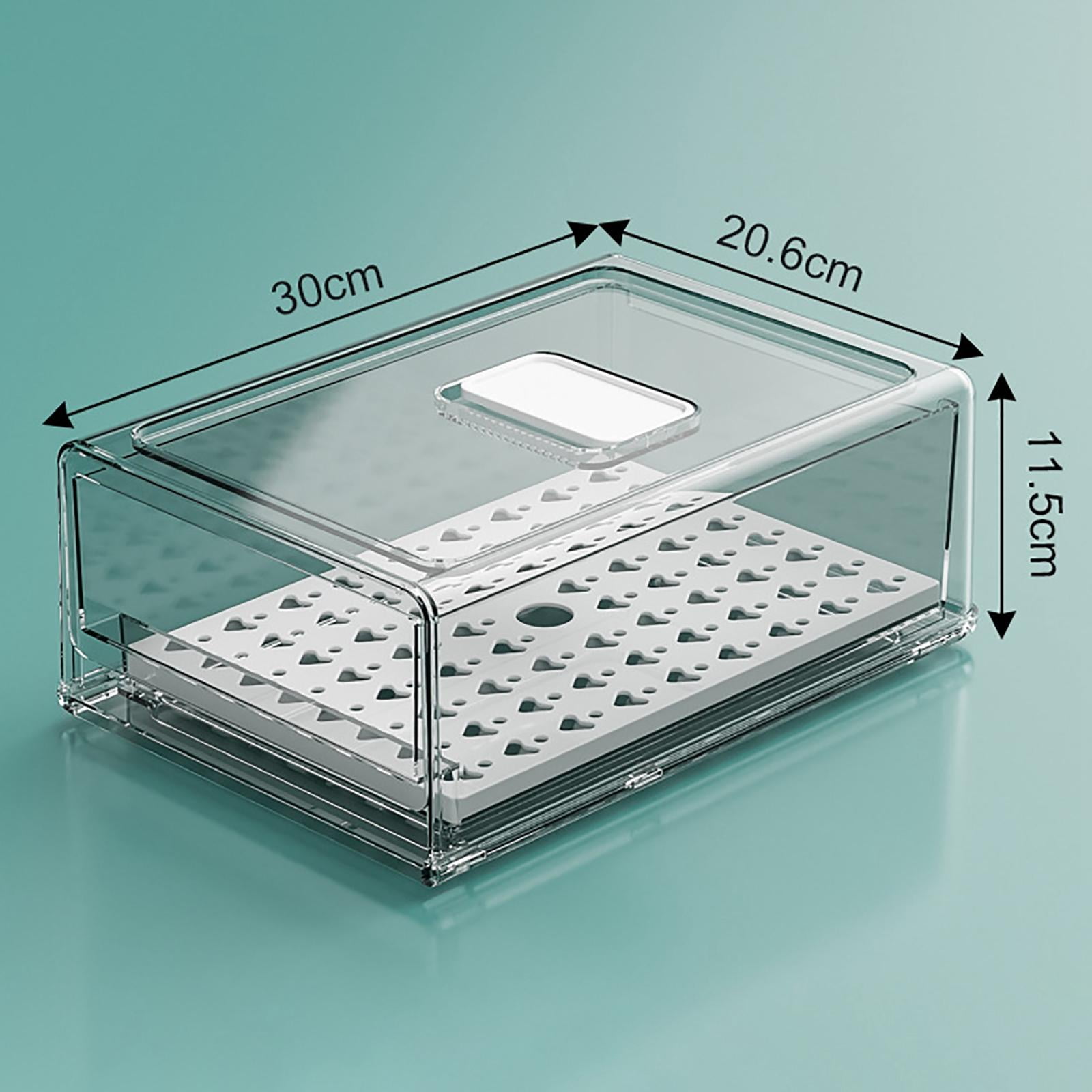 Axioma Cabinet Refrigerator Organizer Box Drawers Holder Multifunctional Clear with Lid L with partition