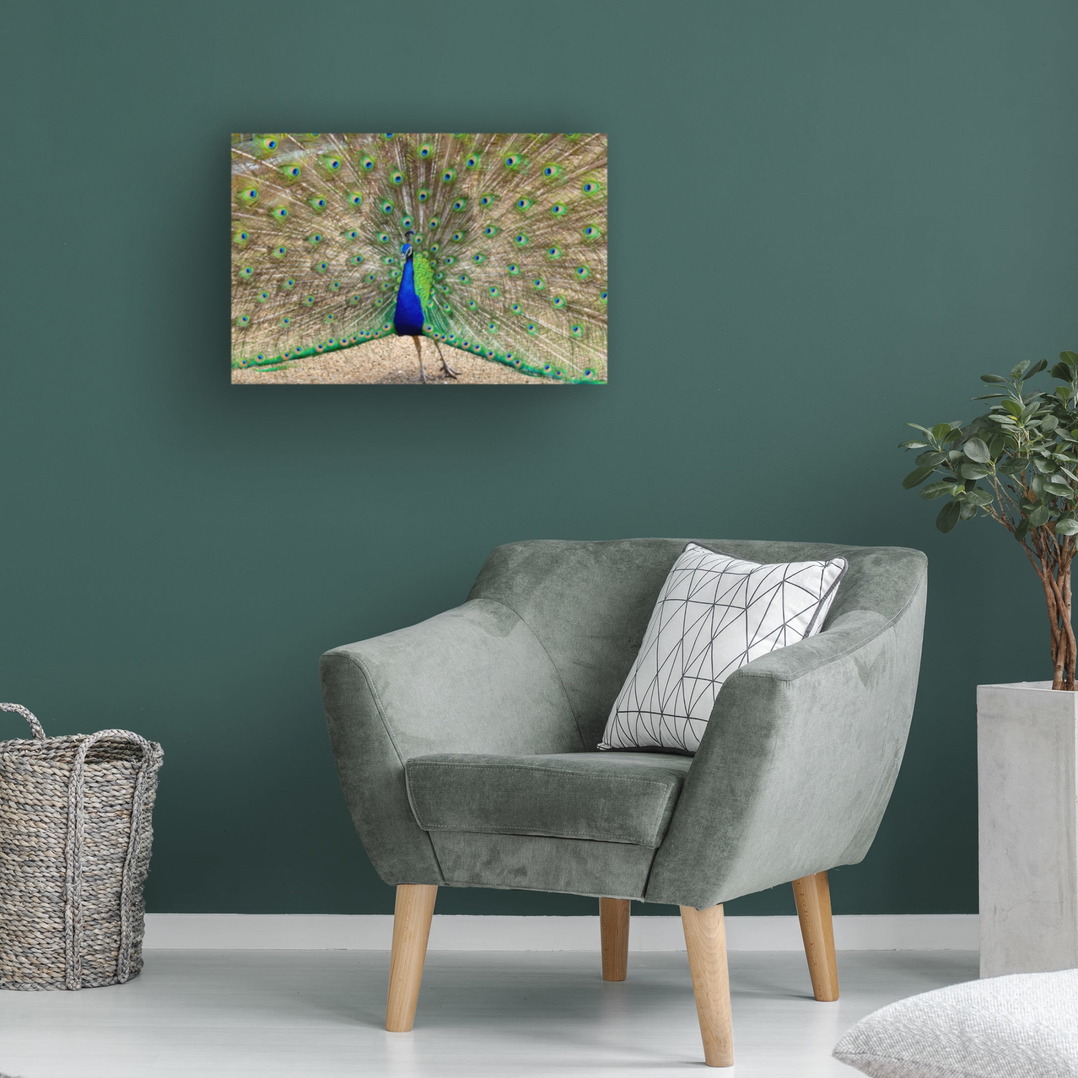 Canvas Wall Art - Robert Michaud 'Peacock 1' Wall Art for Living Room, Bedroom, or Office Décor by Trademark Fine Art - 24 x 16 Inches