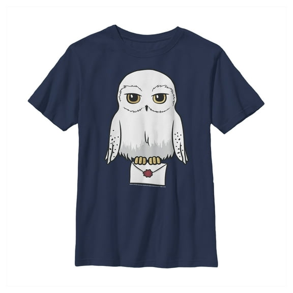 Boy's Harry Potter Cartoon Hedwig Letter Graphic Tee Navy Blue Large