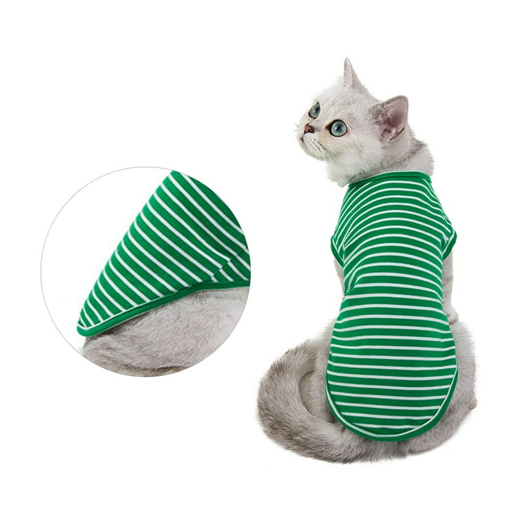 Kitten Shirt Cat Clothes Clothing Spring and Summer