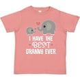 thumbnail image 3 of Inktastic Best Granny Ever Grandchild Boys or Girls Toddler T-Shirt, 3 of 5