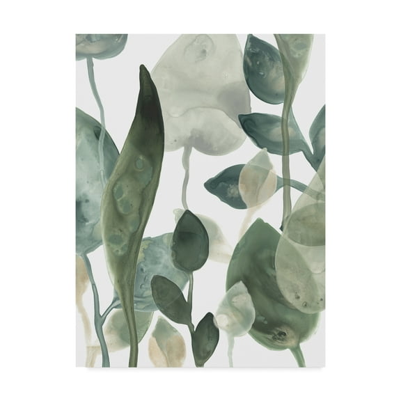 Trademark Fine Art 'Water Leaves III' Canvas Art by June Erica Vess