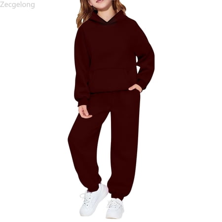 Zecgelong Girls 2 Piece Outfits Tracksuit Drop Shoulder Hoodie Sweatshirt and Sweatpants Joggers Set with Pockets Age 2-3 Years