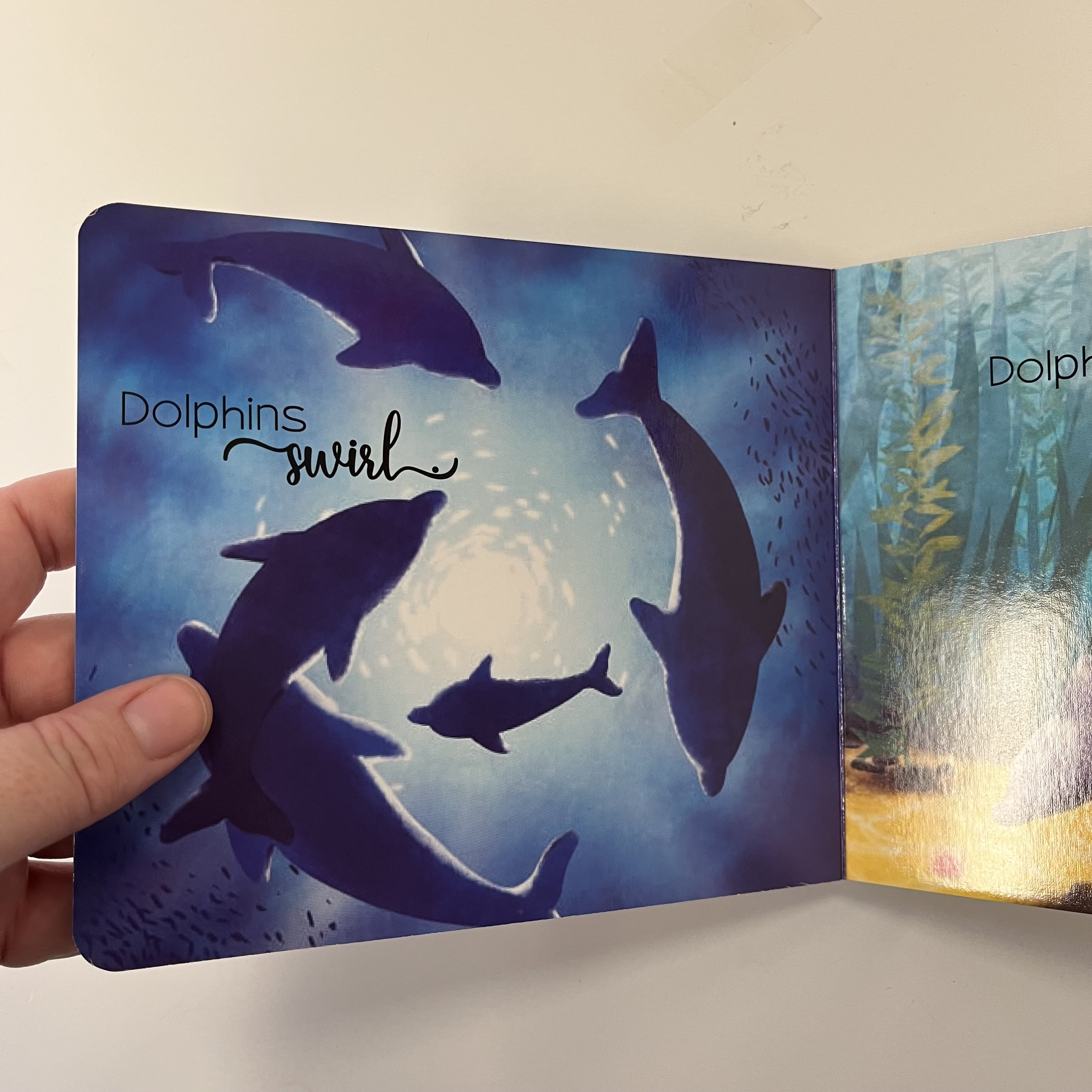 Island Heritage Dolphins Children's Board Book by Rebecca Heller