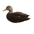 thumbnail image 3 of Avian X AXF Flocked Full Body Black Ducks Fusion Pack with Rugged Durability, 3 of 10