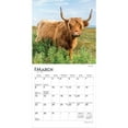 thumbnail image 3 of Highland Cows | 2026 7x14" (Hanging) Monthly Mini Wall Calendar | BrownTrout, 3 of 9