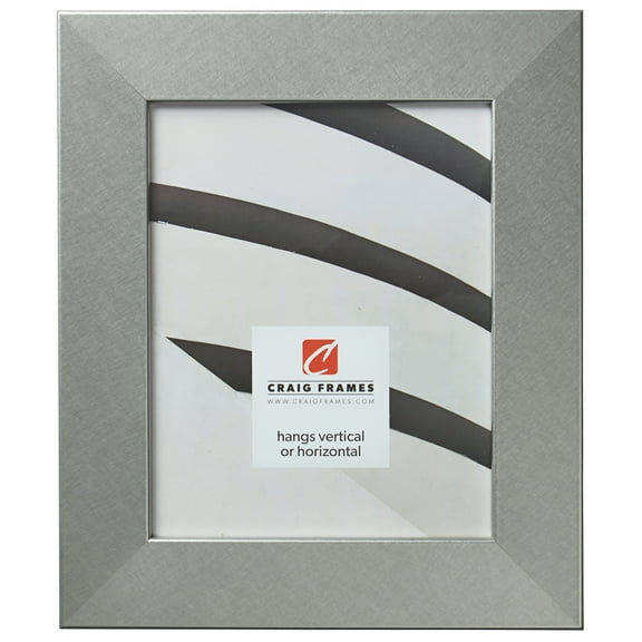 Craig Frames Bauhaus 200, 4x10 inch Picture Frame, Modern Brushed Silver