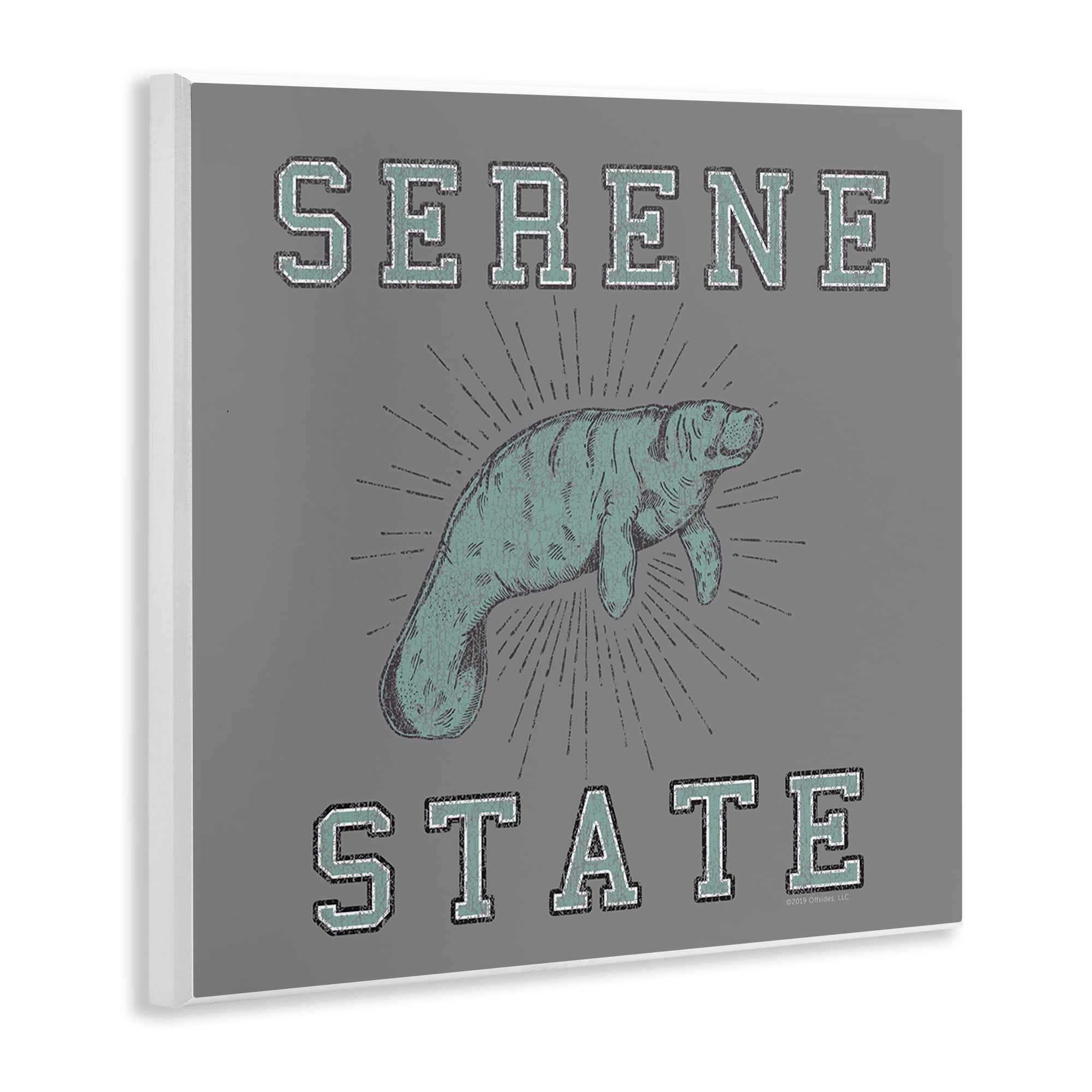 Stupell Industries Serene State Manatee Animals Painting Unframed Art Print Wall Art, 12 x 12