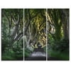 Design Art The Dark Hedges Ireland Landscape - 3 Piece Graphic Art on Wrapped Canvas Set