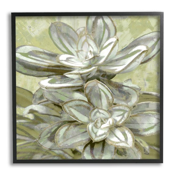 Stupell Industries Succulent Plant Leaves Blooming Botanical & Floral Painting Black Framed Art Print Wall Art