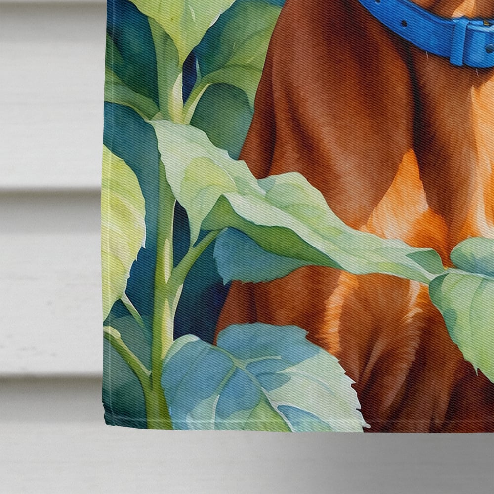 Yorkshire Terrier in Sunflowers House Flag