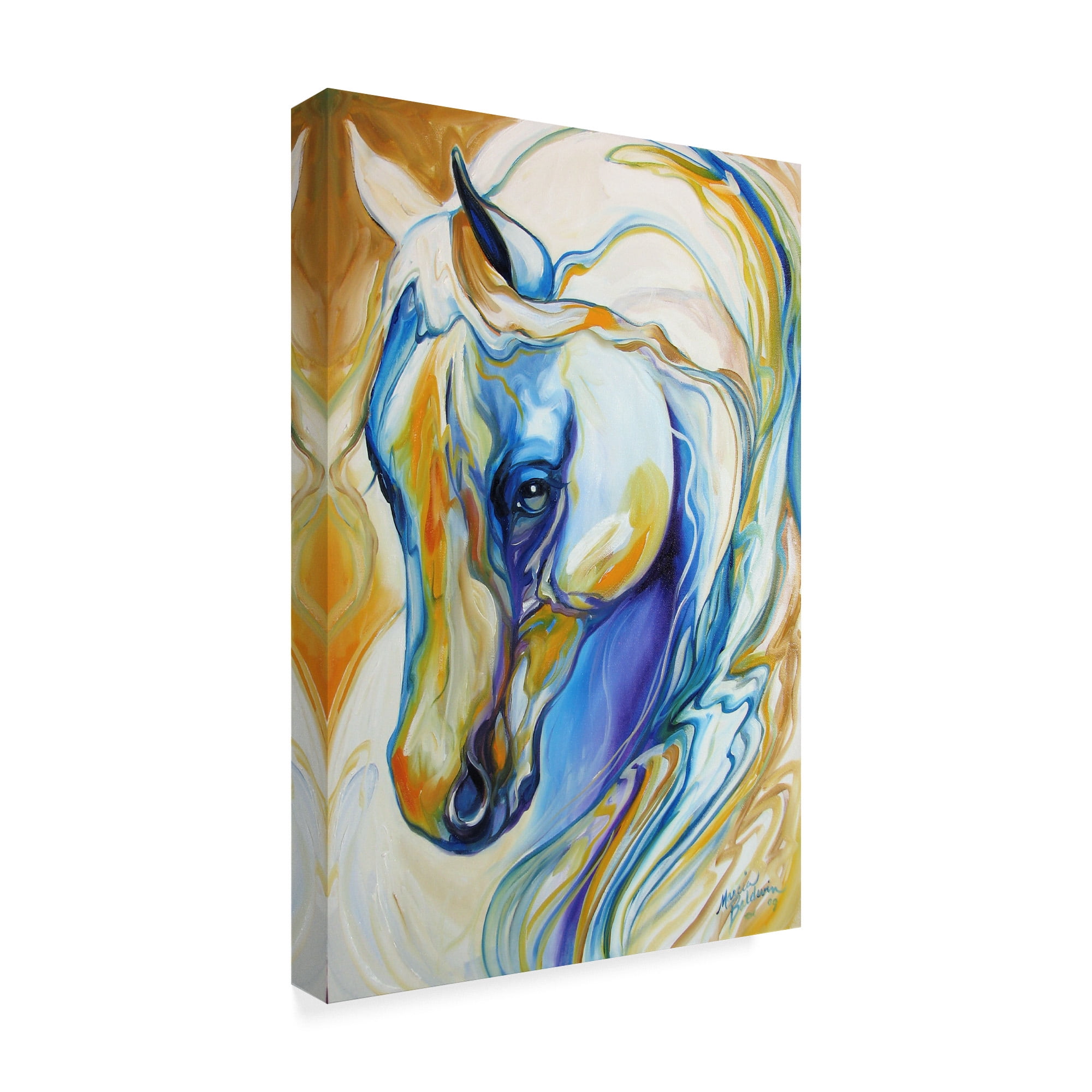 Trademark Fine Art 'Arabian Abstract' Canvas Art by Marcia Baldwin