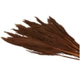 thumbnail image 5 of 35" Dried Plant Natural Foliage Pampas Bouquet with Long Stems, by DecMode, 5 of 8