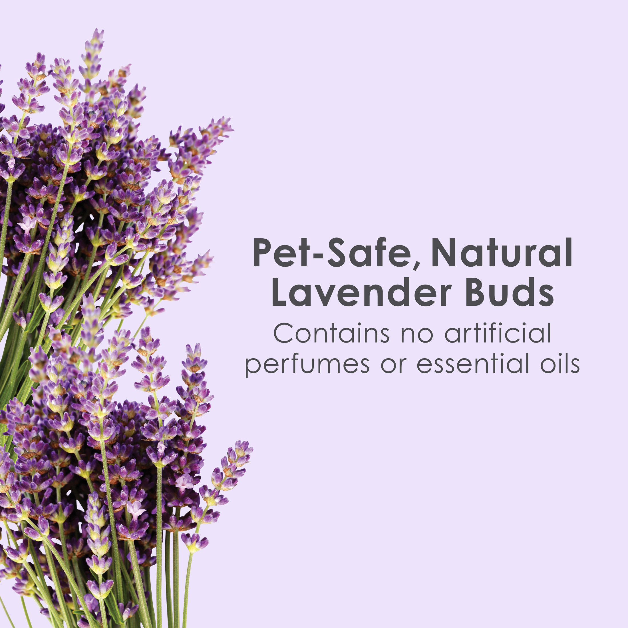 Kaytee Clean & Cozy Lavender Small Animal Paper Bedding, 49.2L photo 5