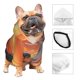 thumbnail image 3 of Balery Sunset Dancing Dolphin B Sudadera con Capucha para Perros Pequeños – Ropa para Mascotas, Disfraz para Perros y Gatos, Ideal para Fiestas y Cosplay-X-Large, 3 of 7