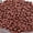 Brown, variant on 1200 Pcs 2mm Spacer Loose Beads Bracelet Necklace Jewelry Making DIY Crafts-Black