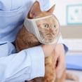 thumbnail image 3 of M Breathable Mesh Cat Muzzle with Adjustable Buckle to Prevent Biting Barking and Chewing, 3 of 5