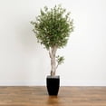 thumbnail image 4 of Nearly Natural 6.5' Olive Artificial Tree in Black Planter, Green, 4 of 4