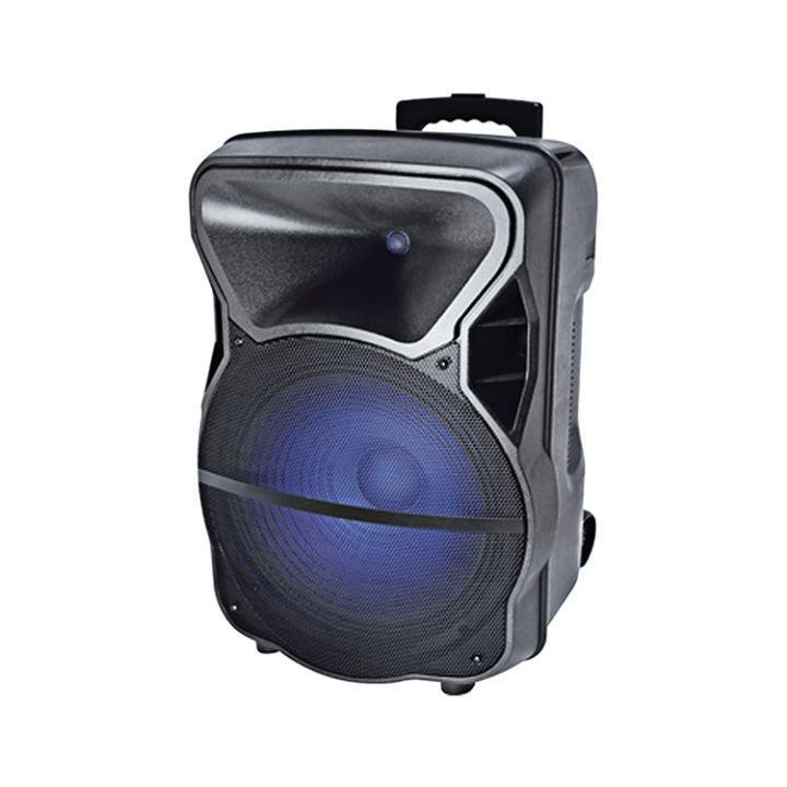 SZC1507BW Studio Z 15in Pro ABS Loudspeaker with mic