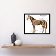 thumbnail image 2 of Skeletal System of Equine Veterinary Anatomy Chart Horse Animal Bones Illustration Art Print Framed Poster Wall Decor 12x16 inch, 2 of 5