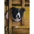 thumbnail image 2 of Silver, John 12x14 White Modern Wood Framed Museum Art Print Titled - Jsm1-B, 2 of 4