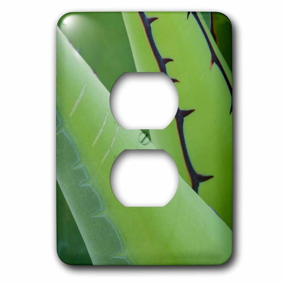 3dRose, Mexico, Baja California. Agave detail., 2 plug outlet cover