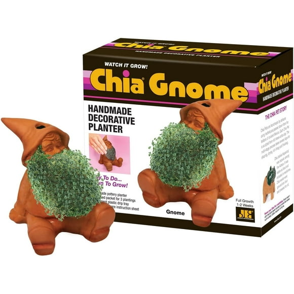 Gnome Chia Pet Decorative Planter
