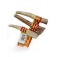 thumbnail image 1 of Master Best Friend Medium Deer Antler Medium, 1 of 3