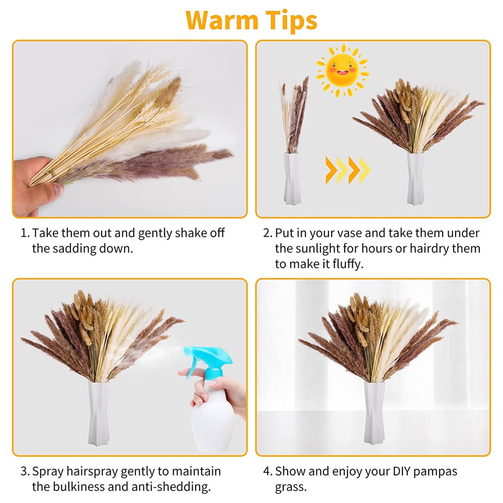 ZYUJUNE Dried Pampas Grass 100PCS Natural Dried Plants Décor Pampas Grass  Reeds Bouquet, Dried Flowers for DIY