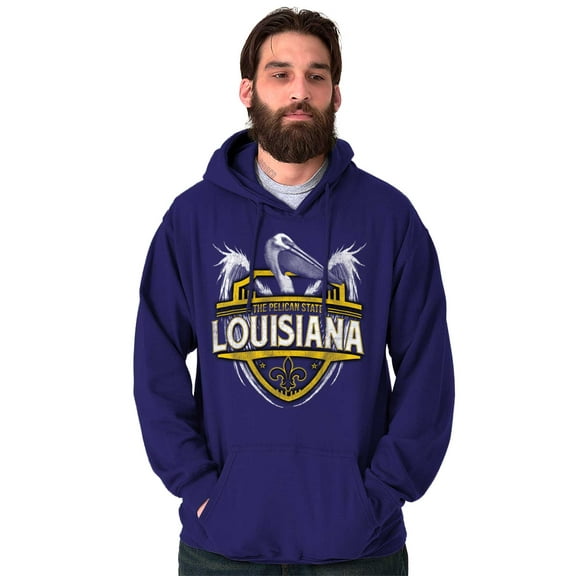 Louisiana Emblem Pelican Fleur de Lis Unisex Plus Fleece Graphic Hoodie Brisco Brands 2X
