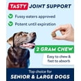 thumbnail image 6 of STRELLALAB Glucosamine Chews for Dogs - Hip and Joint Chews for Dogs with Chondroitin, MSM & Omega-3 Fish Oil - Dog Supplement for Joint Pain Relief - Bacon Flavor - 120 Count - made in USA, 6 of 8