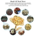 thumbnail image 3 of Sinvitron Gold Dipped Rose Real 24K Gold Rose, Long Stem Hand Dipped in 24K Golden Roses, Romantic Gifts for Women in Her Anniversary Birthday Mothers Day &Valentines Day (Golden), 3 of 7