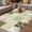 Olive Green, variant on Boho Spring Floral Outdoor Rug for Patio/Deck/Porch, Non-Slip Large Area Rug 4 x 6 Ft, Vintage Flowers Patchwork Plaid Pink Indoor Outdoor Rugs Washable Area Rugs, Camping Rug Carpet Runner