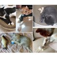 thumbnail image 3 of BeesClover Colorful Plush Mouse Scratch-resistant Catnip Play Chase Exercise Toys Pet Supplies For Indoor Cat, 3 of 8