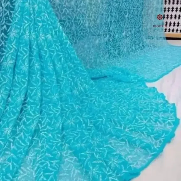 Aqua Blue Hand Embroidered Chikankari Saree