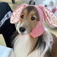 thumbnail image 6 of Nmdmisc Pet Hat - Pet Knitted Hat with Cute Rabbit Ears,Bunny Costume for Dogs & Cats,Dog Winter Hat,Keep Warm Autumn Winter Ornamental Photo Props Dog Cosplay Cap- Pink M, 6 of 6