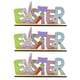thumbnail image 1 of Billuyoard Paquete de 3 letreros de para el día de Pascua, borde liso, bricolaje, letra de Pascua, forma de conejo, rebanadas de prácticas Artesanía Billuyoard HA028588-00, 1 of 6