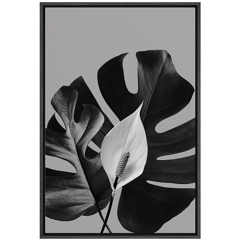 philodendron rugosum aberrant Philodendron rugosum 'Aberrant Form' – Rare Textured Aroid
