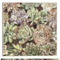 thumbnail image 1 of Cuadro Decorativo - jardín del desierto Jr  Impresión en canvas, estrechado, 1 of 2