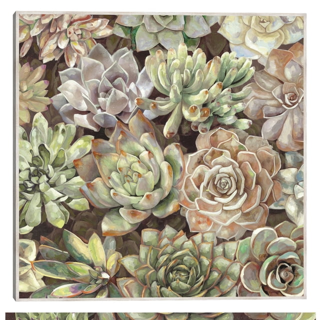 Cuadro Decorativo - jardín del desierto Jr Impresión en canvas, estrechado