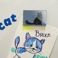 thumbnail image 2 of Maine Coon Cat Rectangle Acrylic Fridge Refrigerator Magnet, 2 of 4