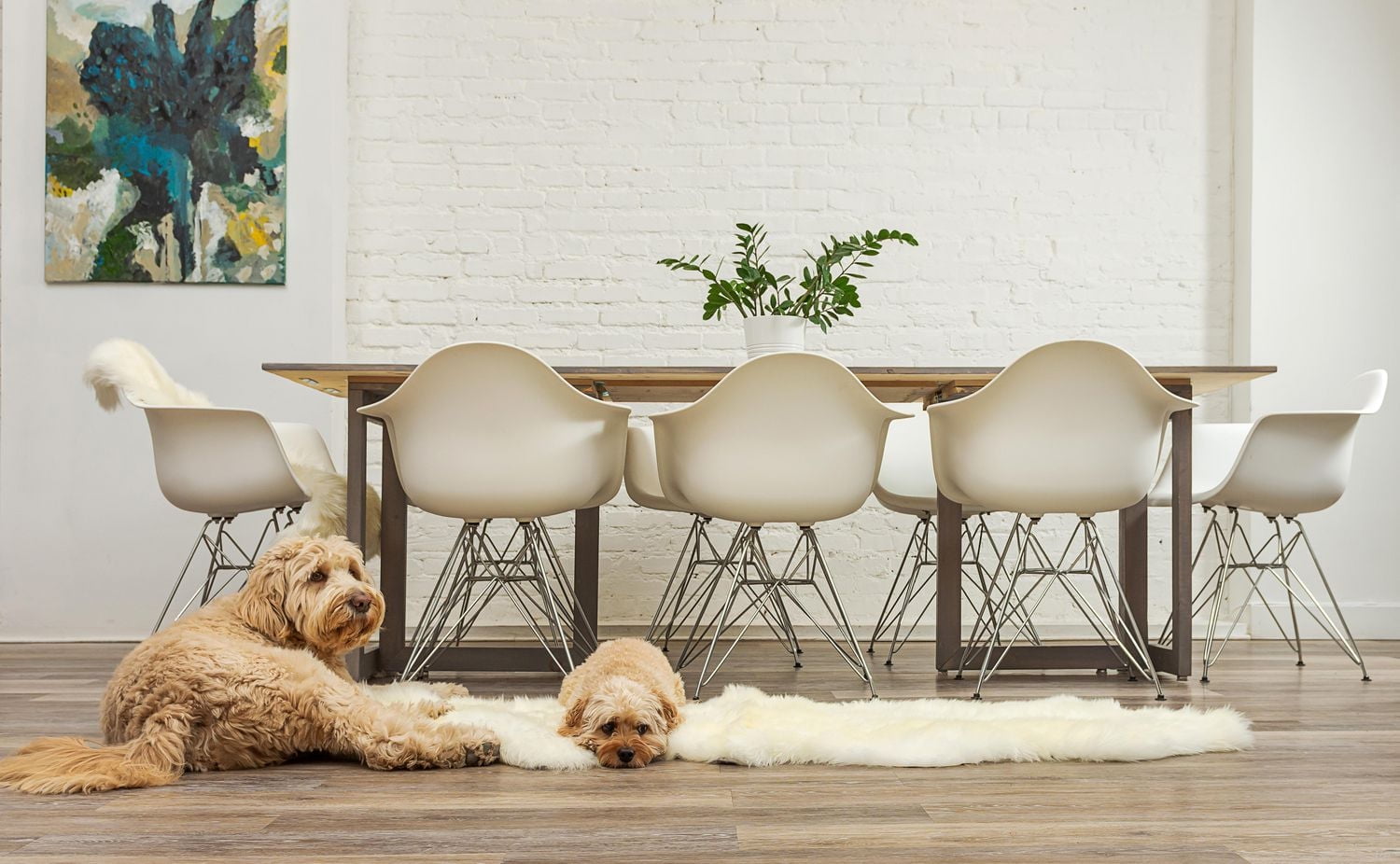 H-Natural New Zealand Sheepskin Rug