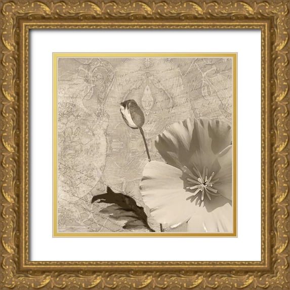 Wolk, Lisa 26x26 Gold Ornate Wood Framed with Double Matting Museum Art Print Titled - Vintage Rose I