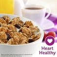 thumbnail image 3 of Kellogg's Raisin Bran Breakfast Cereal, High Fiber Cereal, Made with Real Fruit, Family Size, Original, 24oz Box (1 Box), 3 of 5