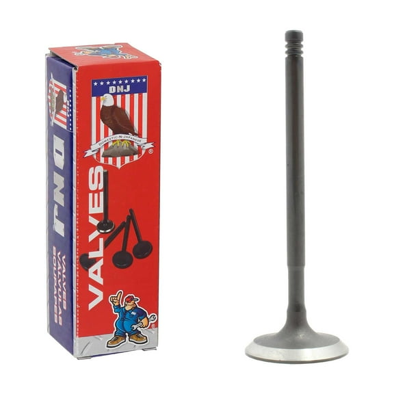 DNJ IV459 Intake Valve Fits Cars & Trucks 02-04 Ford Focus 2.0L L4 DOHC 16v
