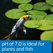 Aquarium Pharmaceuticals Pondcare Ph Test Kit - 160