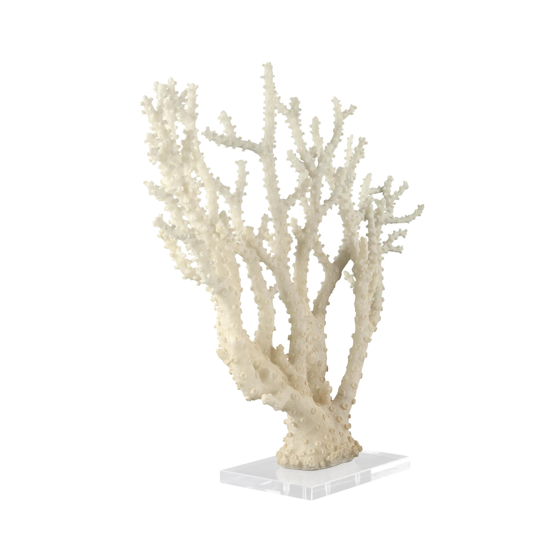 26" x 23" Cream Polystone Coral Sculpture with Clear Acrylic Base, by DecMode