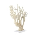 thumbnail image 6 of 26" x 23" Cream Polystone Coral Sculpture with Clear Acrylic Base, by DecMode, 6 of 8
