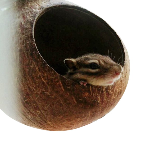 Nido de loro para mascotas, casa de cáscara de coco natural, jaula, comedero para periquitos, pájaros, hámsteres, juguetes
