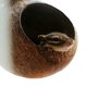thumbnail image 1 of Nido de loro para mascotas, casa de cáscara de coco natural, jaula, comedero para periquitos, pájaros, hámsteres, juguetes, 1 of 4